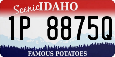 ID license plate 1P8875Q