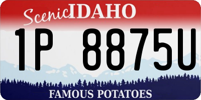 ID license plate 1P8875U