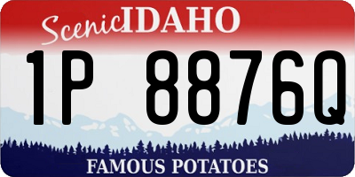 ID license plate 1P8876Q