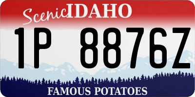 ID license plate 1P8876Z