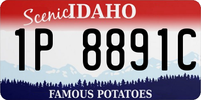 ID license plate 1P8891C