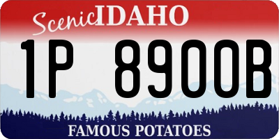 ID license plate 1P8900B