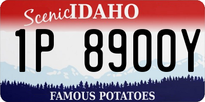 ID license plate 1P8900Y