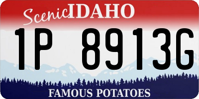 ID license plate 1P8913G