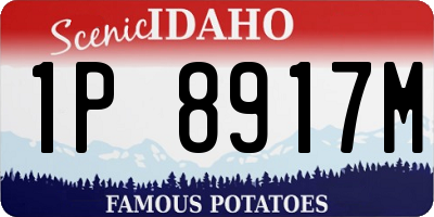 ID license plate 1P8917M