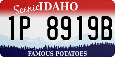 ID license plate 1P8919B