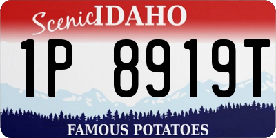 ID license plate 1P8919T