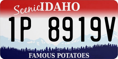 ID license plate 1P8919V