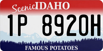 ID license plate 1P8920H