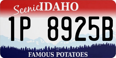ID license plate 1P8925B