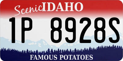 ID license plate 1P8928S