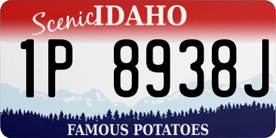 ID license plate 1P8938J