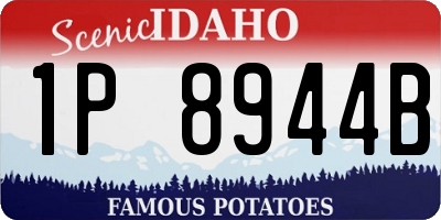 ID license plate 1P8944B