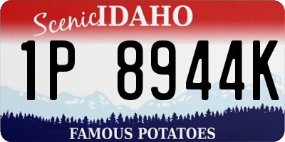 ID license plate 1P8944K