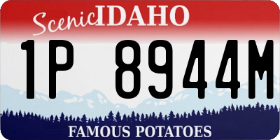 ID license plate 1P8944M