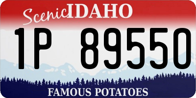 ID license plate 1P8955O