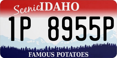 ID license plate 1P8955P