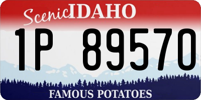 ID license plate 1P8957O