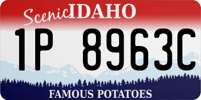 ID license plate 1P8963C