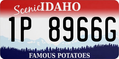 ID license plate 1P8966G