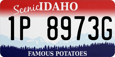 ID license plate 1P8973G