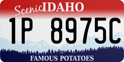 ID license plate 1P8975C