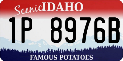 ID license plate 1P8976B