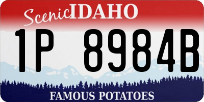 ID license plate 1P8984B