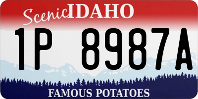 ID license plate 1P8987A