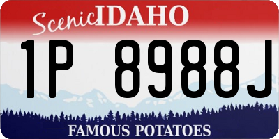 ID license plate 1P8988J