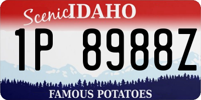 ID license plate 1P8988Z
