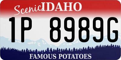 ID license plate 1P8989G