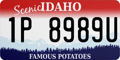 ID license plate 1P8989U