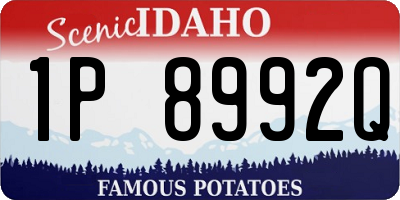 ID license plate 1P8992Q