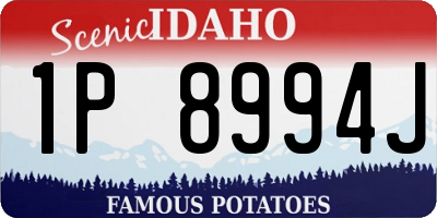 ID license plate 1P8994J