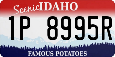 ID license plate 1P8995R
