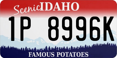 ID license plate 1P8996K