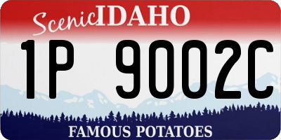 ID license plate 1P9002C