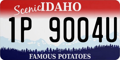 ID license plate 1P9004U