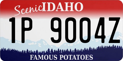 ID license plate 1P9004Z