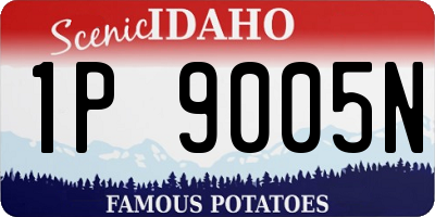 ID license plate 1P9005N