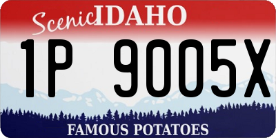 ID license plate 1P9005X