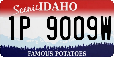ID license plate 1P9009W