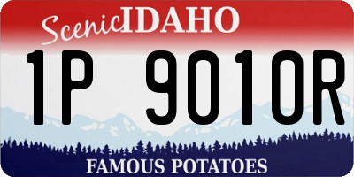 ID license plate 1P9010R