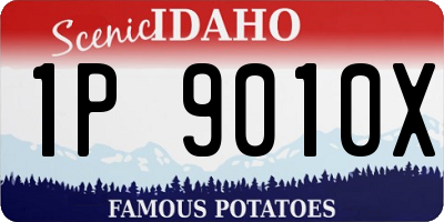 ID license plate 1P9010X