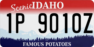 ID license plate 1P9010Z