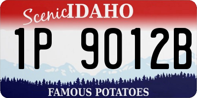 ID license plate 1P9012B