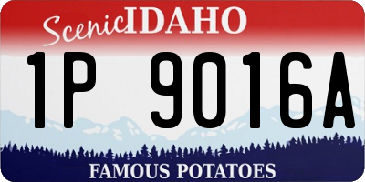 ID license plate 1P9016A