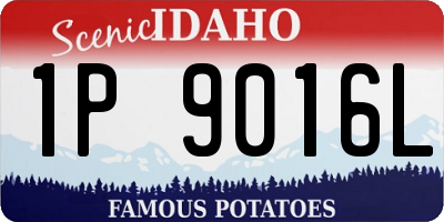 ID license plate 1P9016L