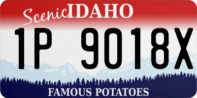 ID license plate 1P9018X
